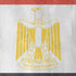 Egypt Flag Distressed iPhone XR Pro Case